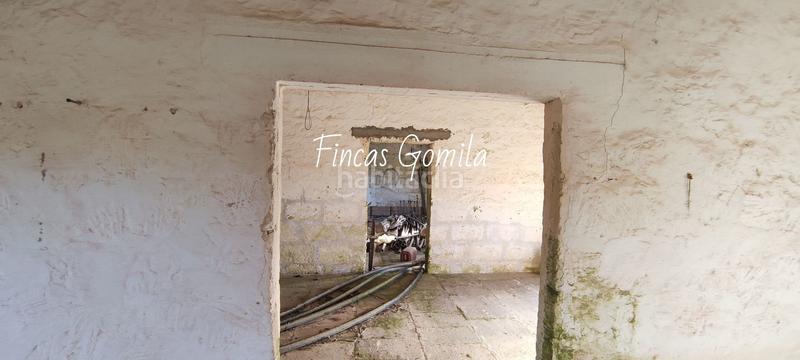 Foto 2b5ebf00-bec5-44a0-b812-cd45b6f2ccc3. Masia a Son Bou-Sant Jaume Alaior