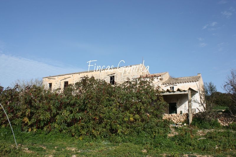 Foto 33a2be13-708c-4b17-b1ee-fad838fcdbee. Masia a Son Bou-Sant Jaume Alaior