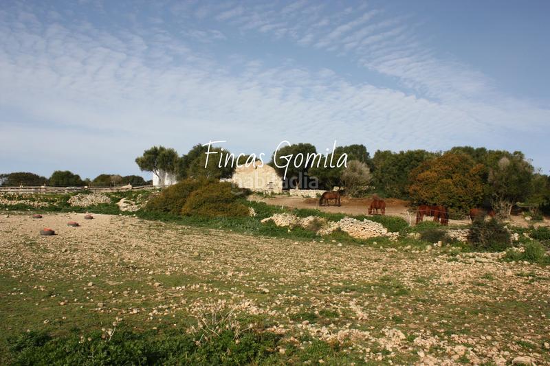 Foto 34708345-24d3-4e82-8e8f-af7fd467cdf8. Masia a Son Bou-Sant Jaume Alaior