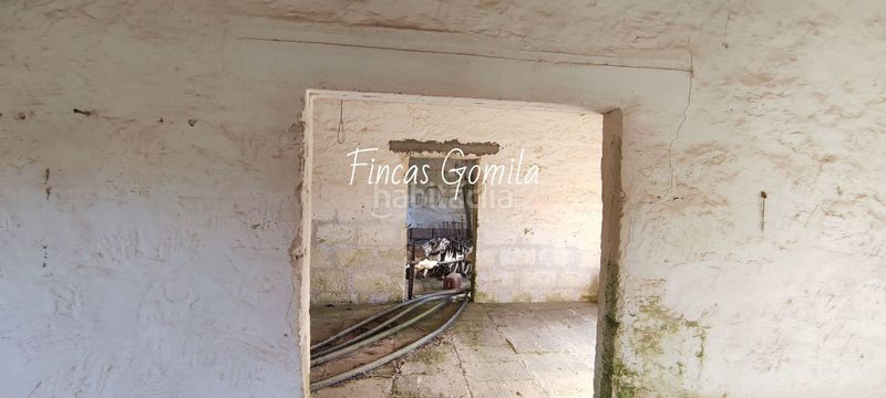 Foto 42890c31-8e40-4c1b-b84b-1b9286befc02. Masia a Son Bou-Sant Jaume Alaior