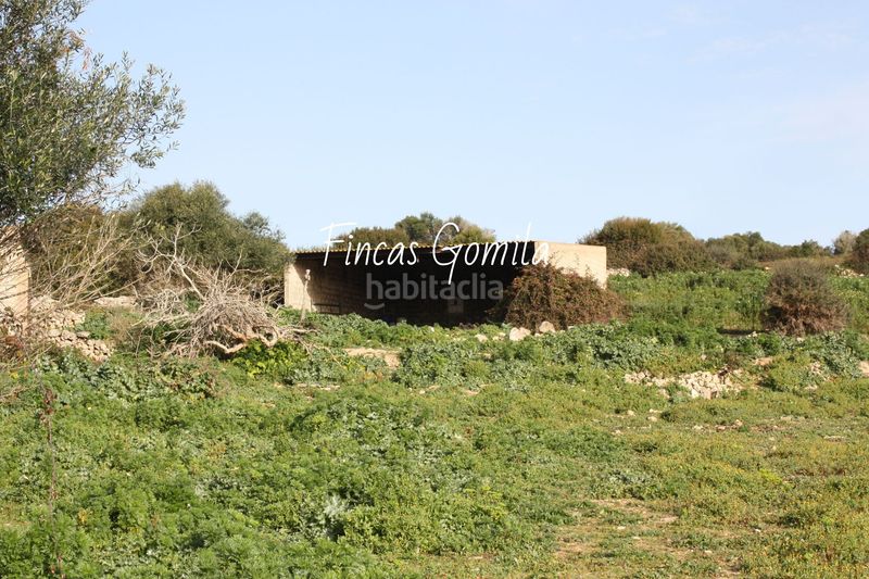 Foto 443b7ed7-4b2f-4415-ba4a-8e92300f582b. Masia a Son Bou-Sant Jaume Alaior