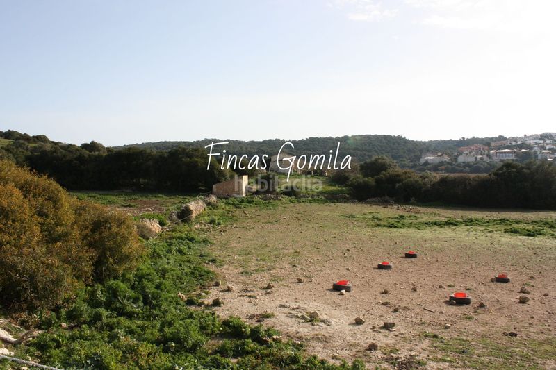 Foto 46d155a5-897e-4d95-844c-2802ed271a81. Masia a Son Bou-Sant Jaume Alaior