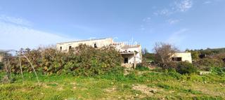 Mas  Parcela. Finca rustica
