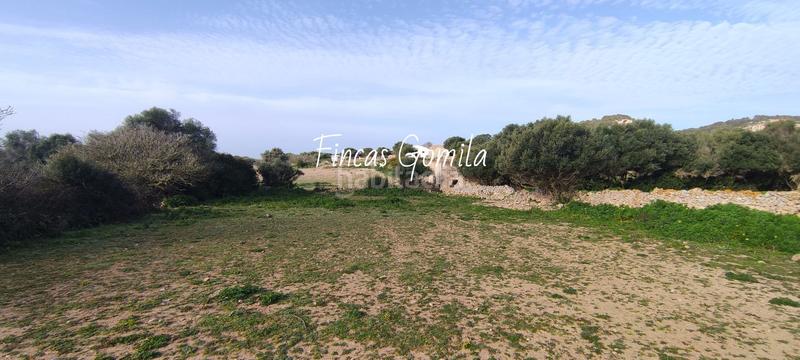 Foto 576614fb-9e83-4c86-8b26-5540a117de8b. Masia a Son Bou-Sant Jaume Alaior