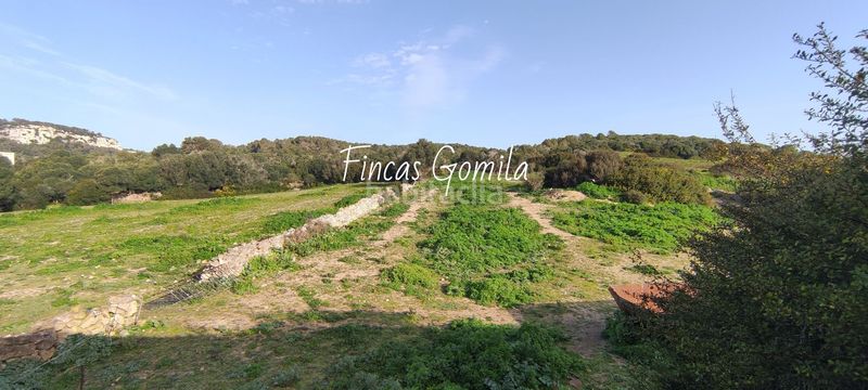 Foto 6ce00153-f54a-45cf-b304-08a1bca91ed1. Masia a Son Bou-Sant Jaume Alaior