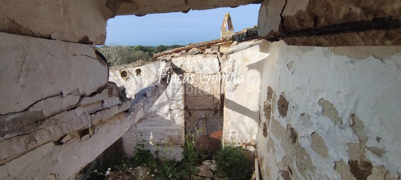 Foto 777ad8c6-d061-4f14-b576-762717981d7e. Masia a Son Bou-Sant Jaume Alaior