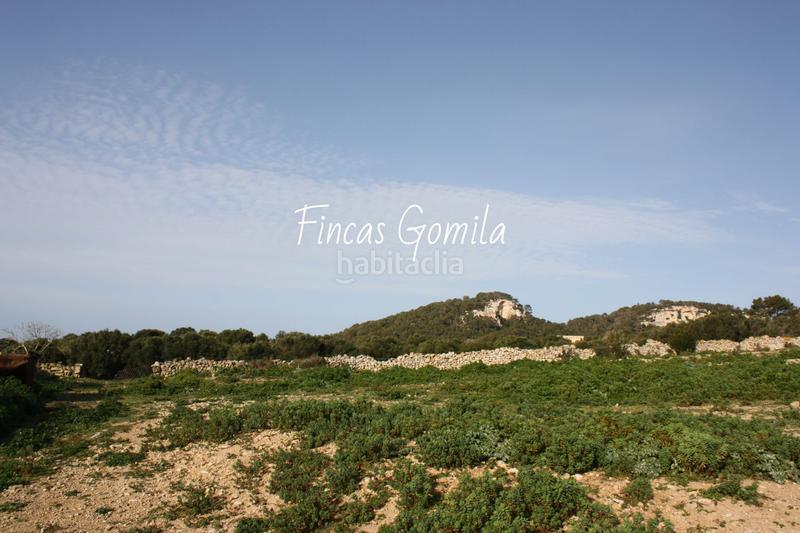 Foto 871e0ac1-08ac-4b15-873b-5bf268504ac7. Masia a Son Bou-Sant Jaume Alaior