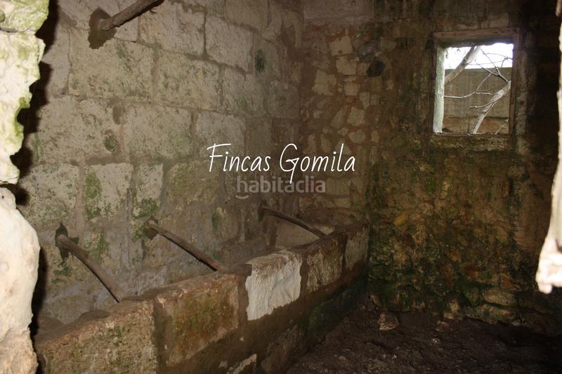 Foto a507d8dc-516c-4ab2-ad22-419339e0f41f. Masia a Son Bou-Sant Jaume Alaior