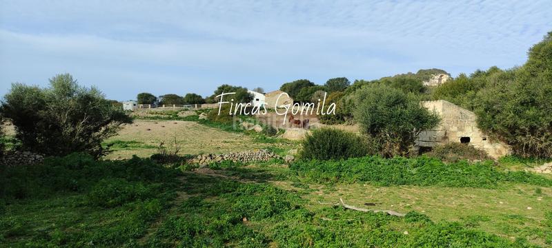 Foto b121c01d-6807-4451-96ec-35e62abbdb22. Masia a Son Bou-Sant Jaume Alaior