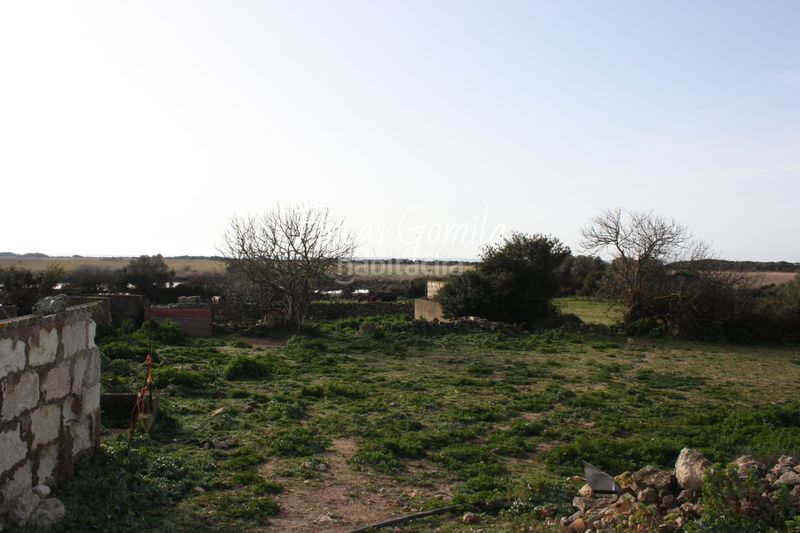 Foto b44ce770-e1a5-49ae-a0a0-7f940a724246. Masia a Son Bou-Sant Jaume Alaior