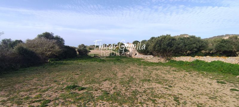 Foto b997b281-25ab-4ddb-931b-94b2db702287. Masia a Son Bou-Sant Jaume Alaior