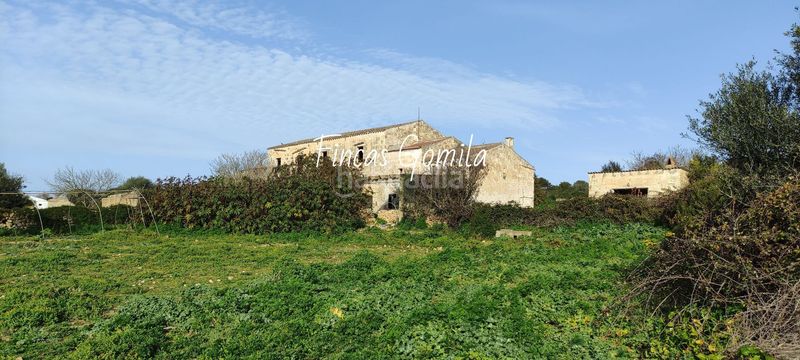 Foto be3190db-8ba1-4c67-bb07-e28d242ac440. Masia a Son Bou-Sant Jaume Alaior