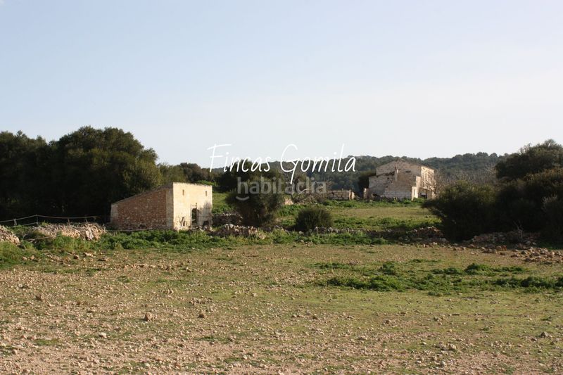 Foto c1a232ec-0c43-438b-a55a-226cf173595e. Masia a Son Bou-Sant Jaume Alaior