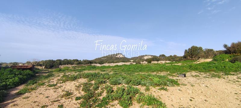 Foto c2ca4de5-c514-4c1f-8a77-78a4f900afed. Masia a Son Bou-Sant Jaume Alaior