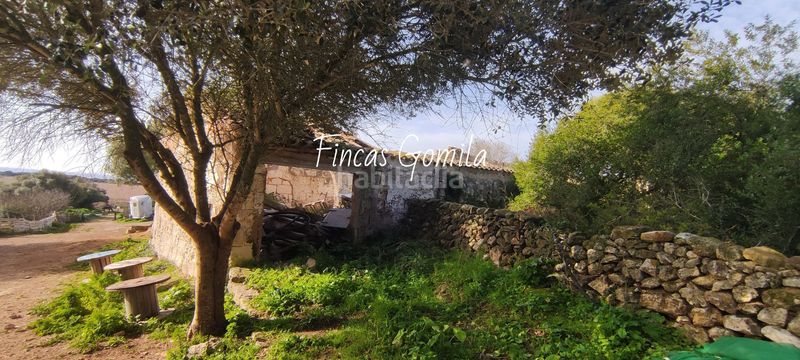 Foto c3a1597a-7e4c-42c1-8835-3568fdd322de. Masia a Son Bou-Sant Jaume Alaior