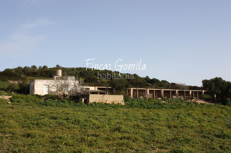 Foto cc0fd43d-9bc2-4e08-a3f8-691a0d836928. Masia a Son Bou-Sant Jaume Alaior