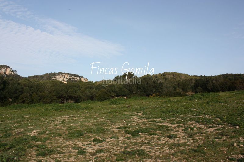 Foto f9904576-0da1-4320-9920-9640f882be7a. Masia a Son Bou-Sant Jaume Alaior