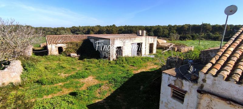 Foto 11675ea3-0efb-473d-8b8e-ec3cff82e5ad. Masía casa de campo en son parc en Es Mercadal poble Es Mercadal