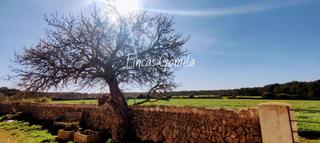 Masia  Me 15. Casa de campo en son parc