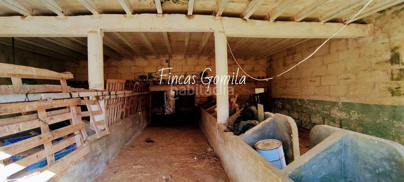 Foto 35c154b2-2693-4e33-9636-b337b3bd970d. Mas dans Es Mercadal poble Es Mercadal