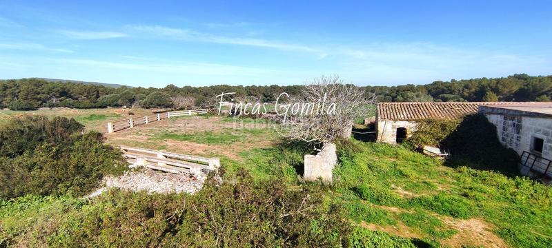 Foto 6d3e9199-a741-4e55-8442-1ce4d8a41179. Mas dans Es Mercadal poble Es Mercadal