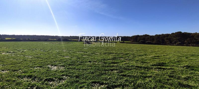 Foto 80d79b84-7226-48b5-8950-25fa5f5f29ab. Masía casa de campo en son parc en Es Mercadal poble Es Mercadal