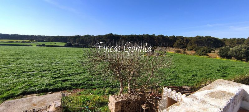 Foto d8b0ead5-6fbe-4bb3-abe9-e500d66bc2f8. Masia a Es Mercadal poble Es Mercadal