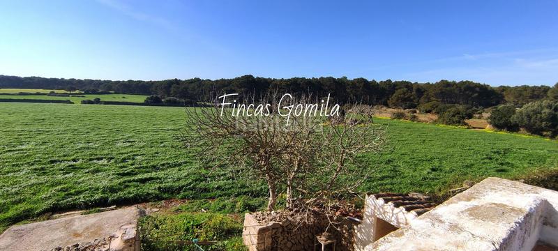 Foto ecf4a532-b059-448b-9f91-0df0245af5eb. Mas dans Es Mercadal poble Es Mercadal