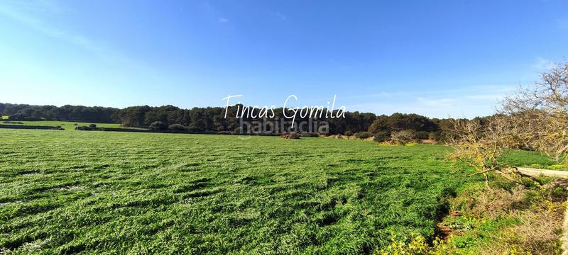 Foto fb68b11f-0ff0-4af0-bb32-a197f9e5da84. Masía casa de campo en son parc en Es Mercadal poble Es Mercadal