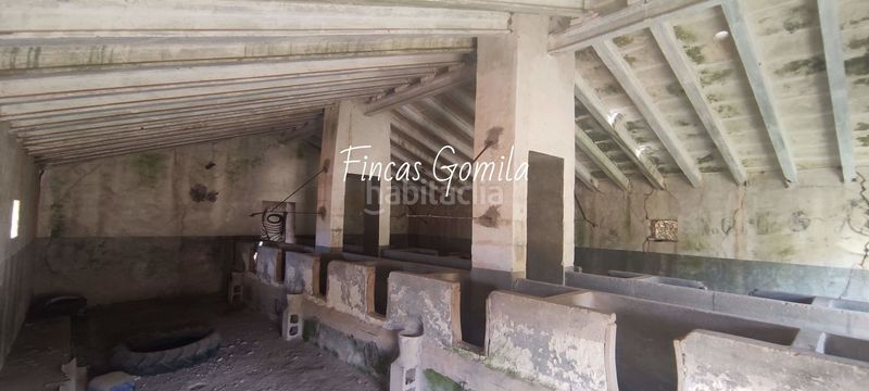 Foto 03ce9251-fa7c-4b50-bb1c-2726cb23aa6d. Masia a Son Parc Es Mercadal
