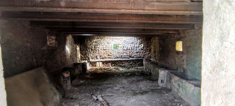 Foto 0b08a43c-a62e-4a20-906a-0ff26e7ee315. Masia a Son Parc Es Mercadal