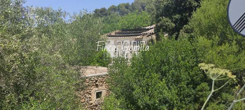 Foto 54c1631e-a30c-40d7-9999-5c6794c6ca7d. Masia a Son Parc Es Mercadal