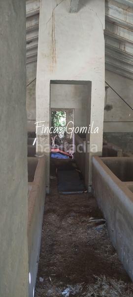 Foto 6f8054b6-a3c8-4973-910c-4a6a145380fd. Masia a Son Parc Es Mercadal