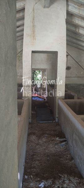 Foto c749fd93-a585-4370-b1c9-9b3bbf5e0916. Masia a Son Parc Es Mercadal
