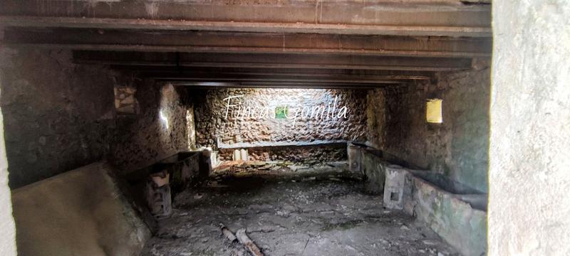 Foto e447a42a-5d02-45de-85a7-5c292b30a19a. Masia a Son Parc Es Mercadal