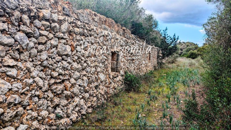 Foto 3d2eb8d0-6553-446c-8ff7-386f83183334. Masia a Ciutadella Ciutadella de Menorca