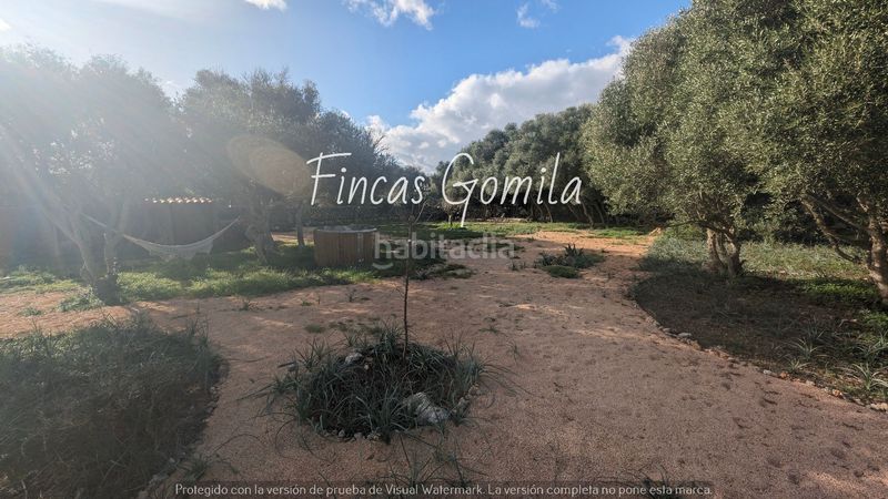 Foto cc330b38-fbb6-41ba-a9f7-7481f2f9f0df. Masia a Ciutadella Ciutadella de Menorca
