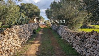 Masia  Binipati. Finca rustica ciudadela