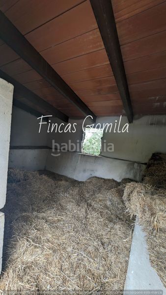 Foto e6ae696b-1b80-4f0d-8adc-0216a579998c. Masia a Ciutadella Ciutadella de Menorca