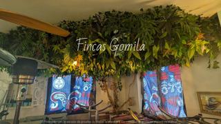 Pas-de-porte Local commercial  Paseo maritimo. Traspaso caferestaurante son bou