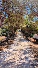 Finca rústica  Campo. Finca rustica ferreries