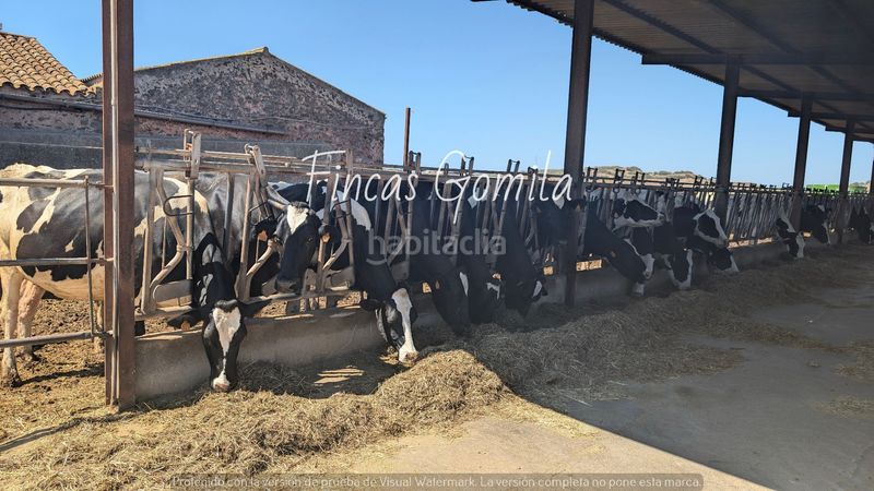 Foto 6c60571f-95f1-4b05-b111-beebaa93c323. Finca rústica finca rustica en Ferreries poble Ferreries