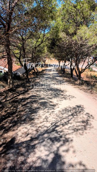 Foto 80402f50-4ce1-411d-ab3b-67b5ce15b5d5. Finca rústica finca rustica en Ferreries poble Ferreries