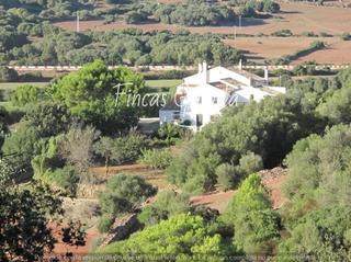 Finca rústica  Campo. Finca rustica ferreries