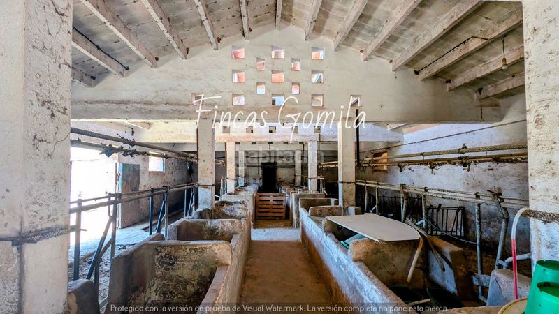 Foto d865a6c6-c843-4ce3-89c3-bf4bea1df1ff. Finca rústica finca rustica en Ferreries poble Ferreries