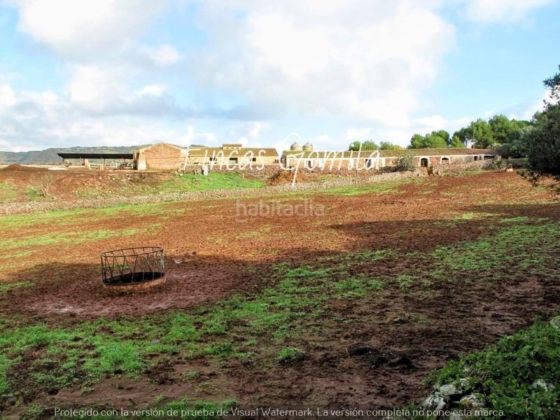 Foto df8a6872-6ca8-4ff3-9fb3-91dff429532f. Finca rústica a Ferreries poble Ferreries