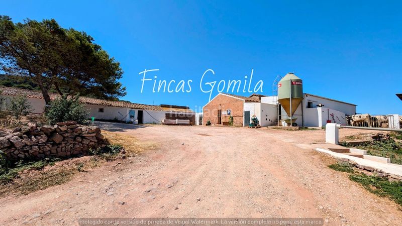 Foto f8cfdf81-3d08-49ee-a0ad-165543e80f45. Finca rústica a Ferreries poble Ferreries