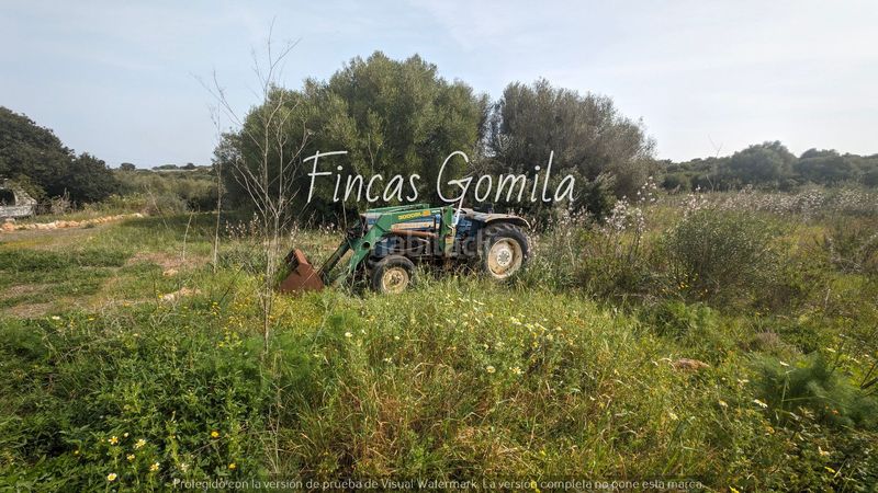 Foto 455ef511-adfb-4c4d-9621-5bebbdc1bce6. Finca rústica a Sant Lluís-s´ullestrar-torret Sant Lluís