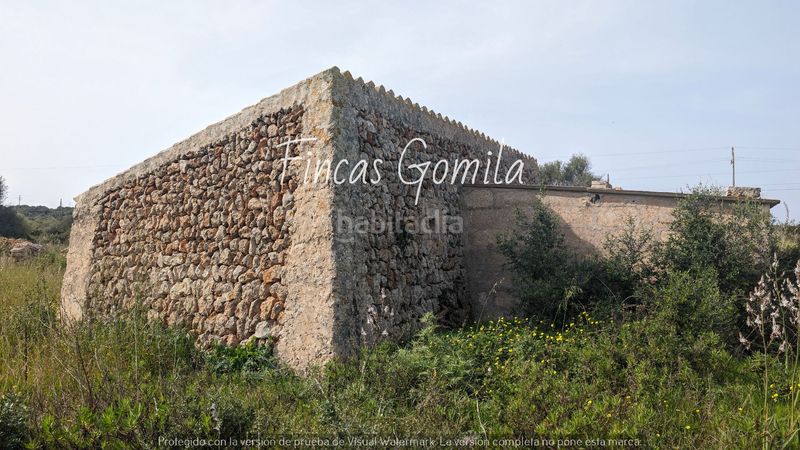 Foto 7a8c866d-adea-4bac-88ad-485f5f0984e2. Finca rústica a Sant Lluís-s´ullestrar-torret Sant Lluís
