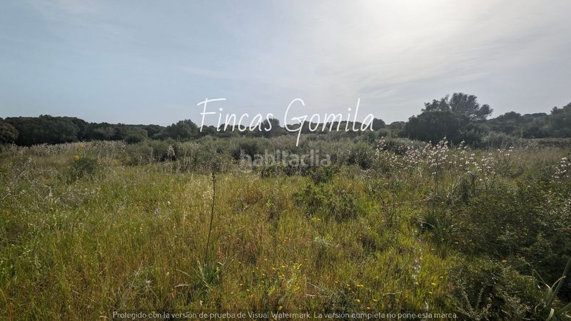 Foto 980cbdb2-d101-4c6e-9424-ff393f8b8187. Finca rústica a Sant Lluís-s´ullestrar-torret Sant Lluís